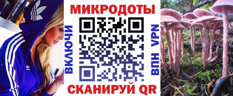 Псилоцибиновые грибы MAGIC MUSHROOMS  Пошехонье 